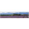 デザイン工事看板用シール・紫の花・350mm×900mm