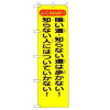 ָΤܤꡦŤƻΤʤƻ⤫ʤ!ΤʤͤˤϤĤƤʤ!450mm1500mm()